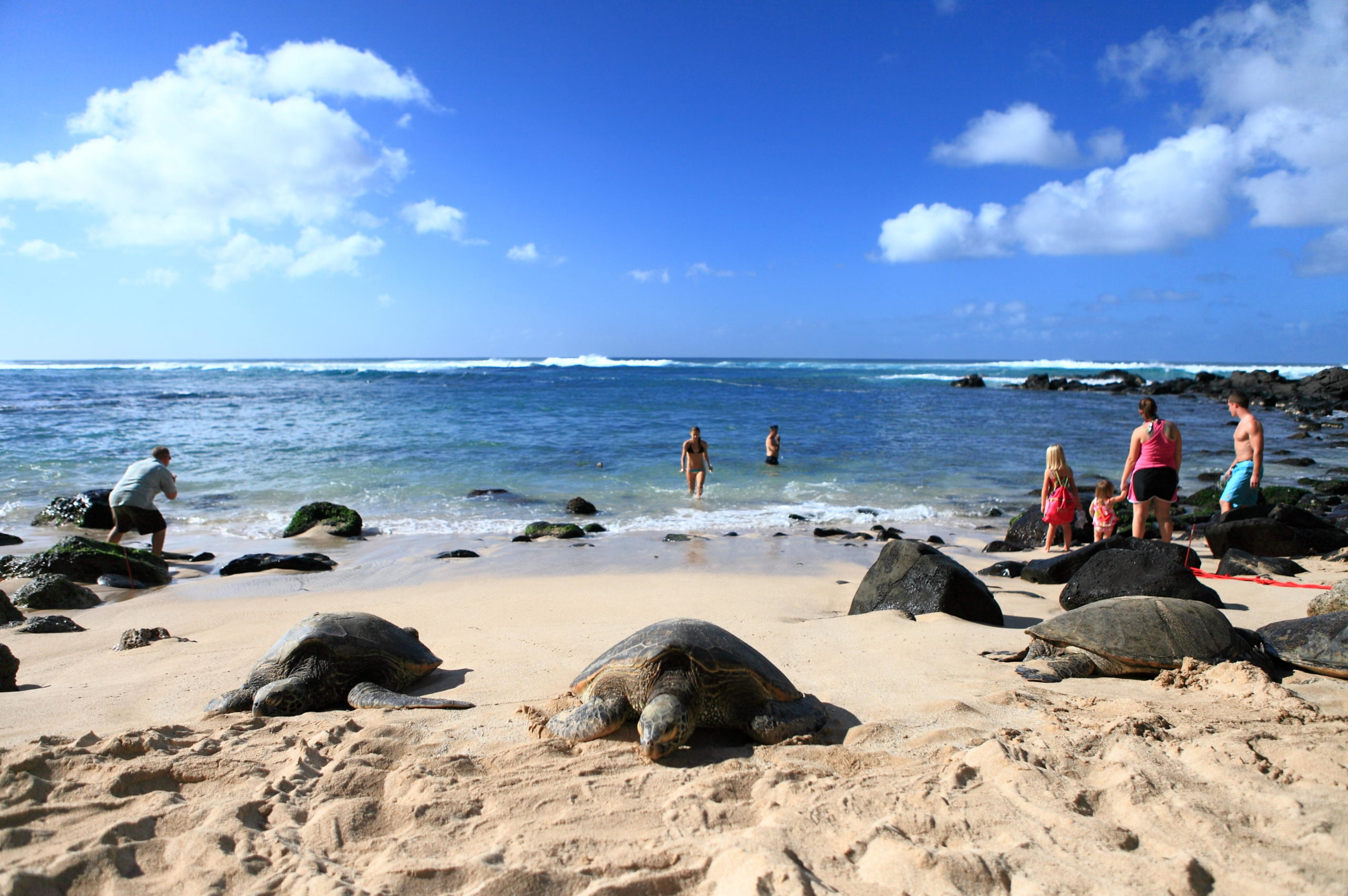 6時間チャーターツアー 観光周遊モデルコース ハワイ州公認の旅行会社ハワイアンツアーズ 6時間チャーターツアー 観光周遊モデルコース ハワイ州公認の旅行会社ハワイアンツアーズ