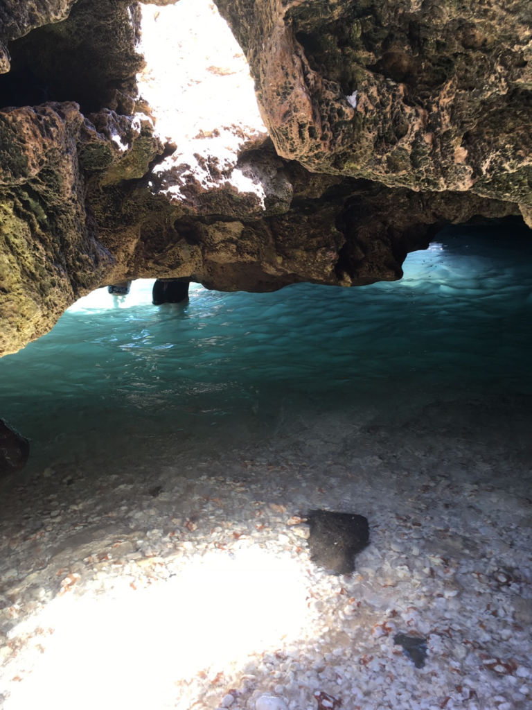 必見！ハワイオアフ島にも青の洞窟があった！超穴場スポット「マーメードケーブ」！